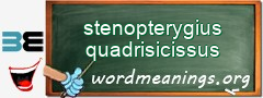 WordMeaning blackboard for stenopterygius quadrisicissus